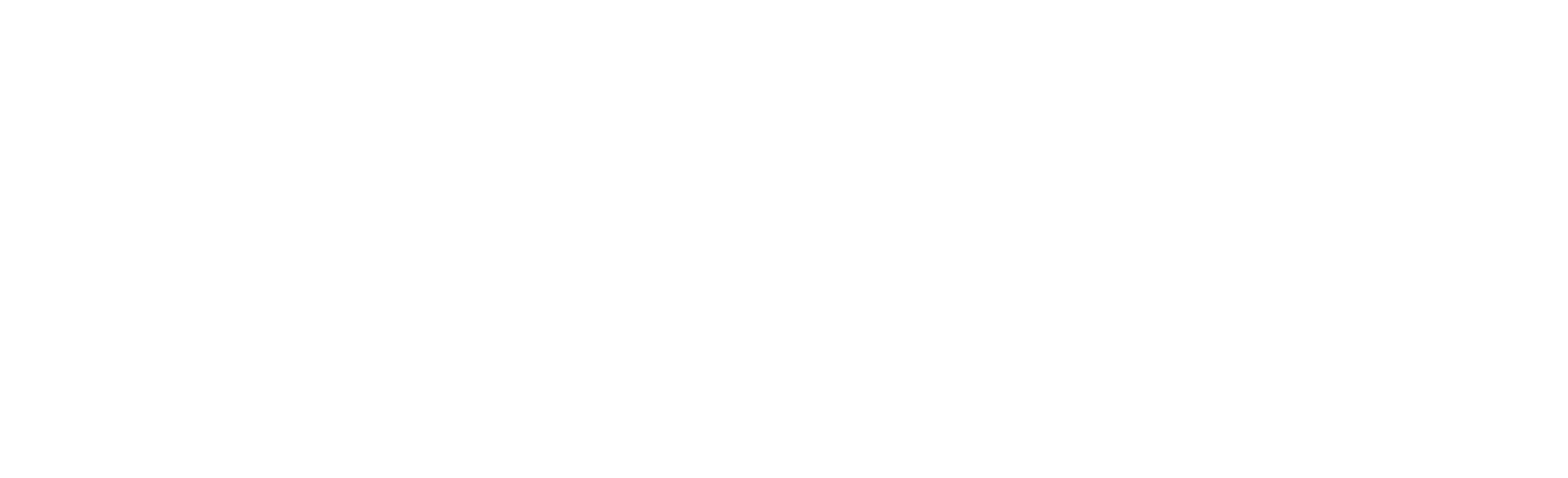 Perfect Store
